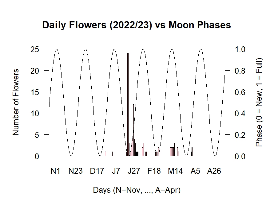 Flowers vs Moon Phases 2022/23